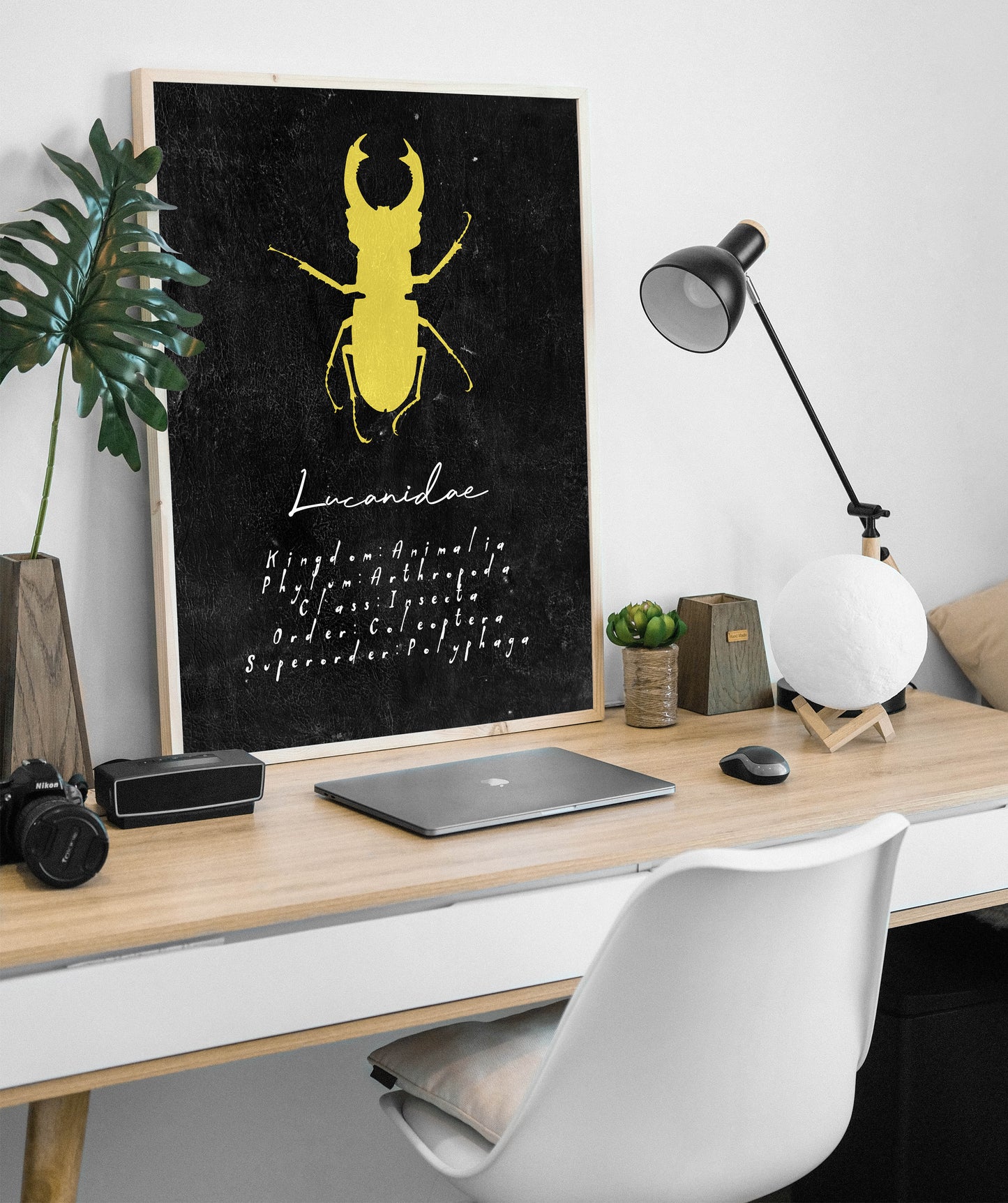 Stagle Beetle Insect Art Print, Entomology Decor for Bug Lovers
