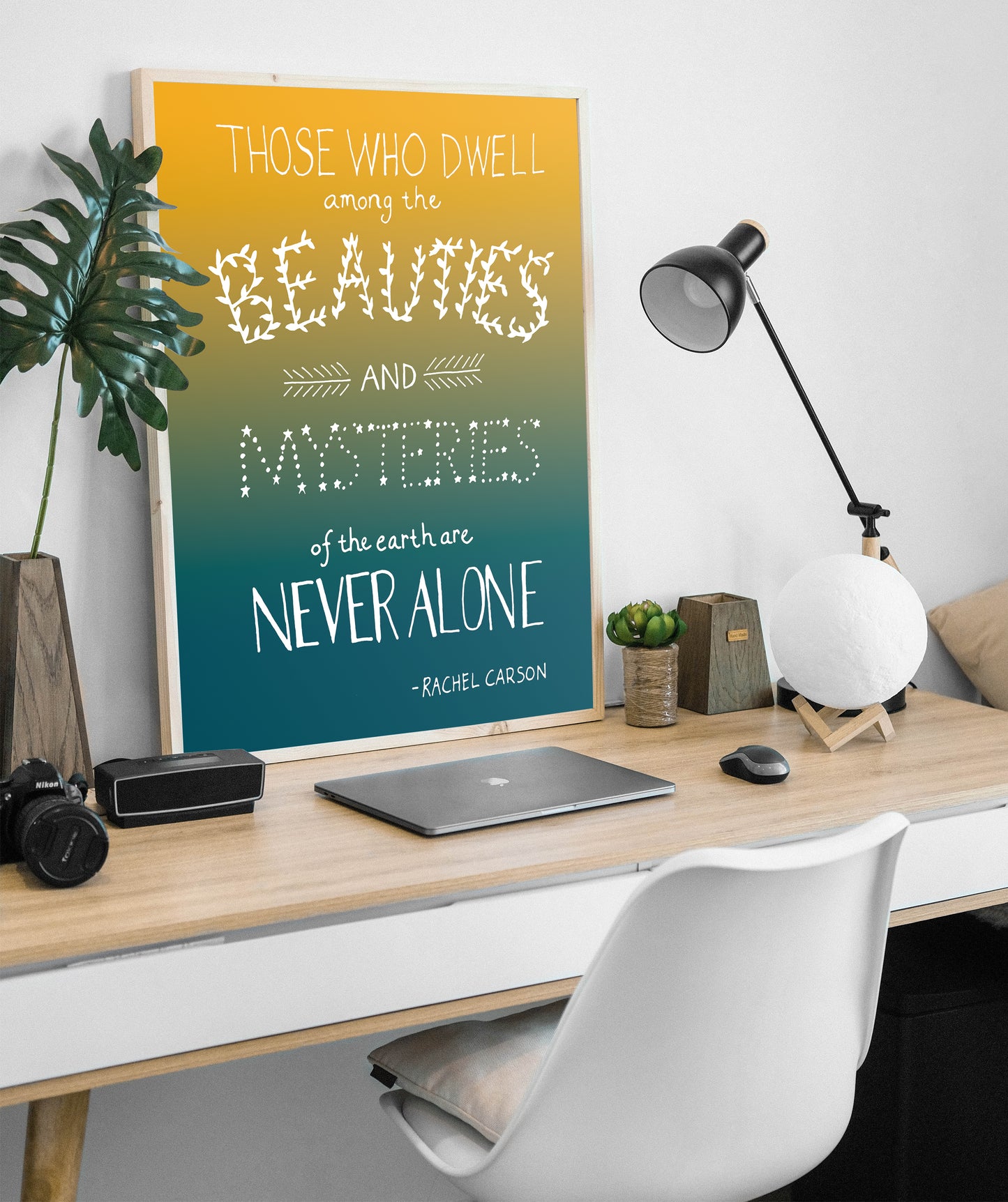 Rachel Carson Nature Quote
