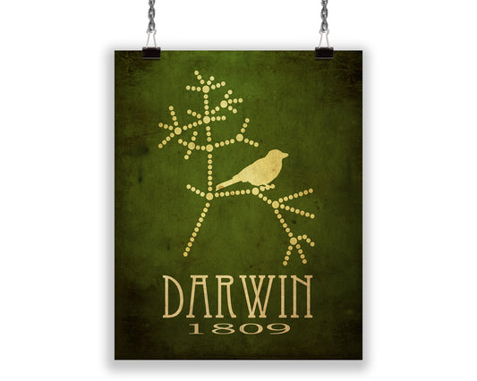 Charles Darwin Evolution Art Print, Geology and Biology Decor