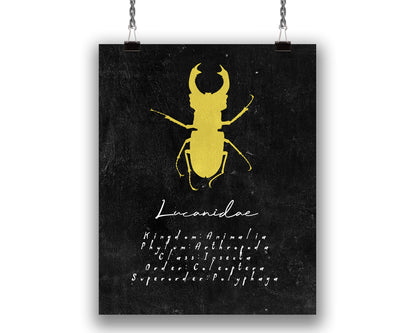 Stagle Beetle Insect Art Print, Entomology Decor for Bug Lovers