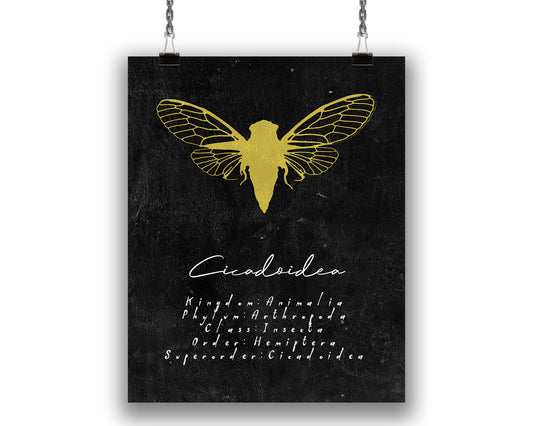 Cicada Insect Art Print, Bug Lover and Entomology Decor