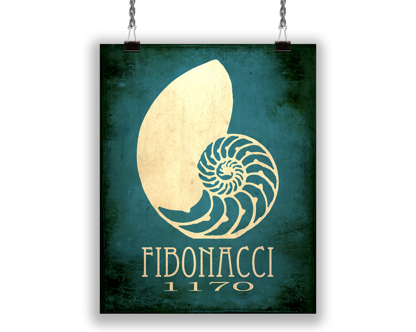 Fibonacci Sequence in Nature Art Print, Math Decor