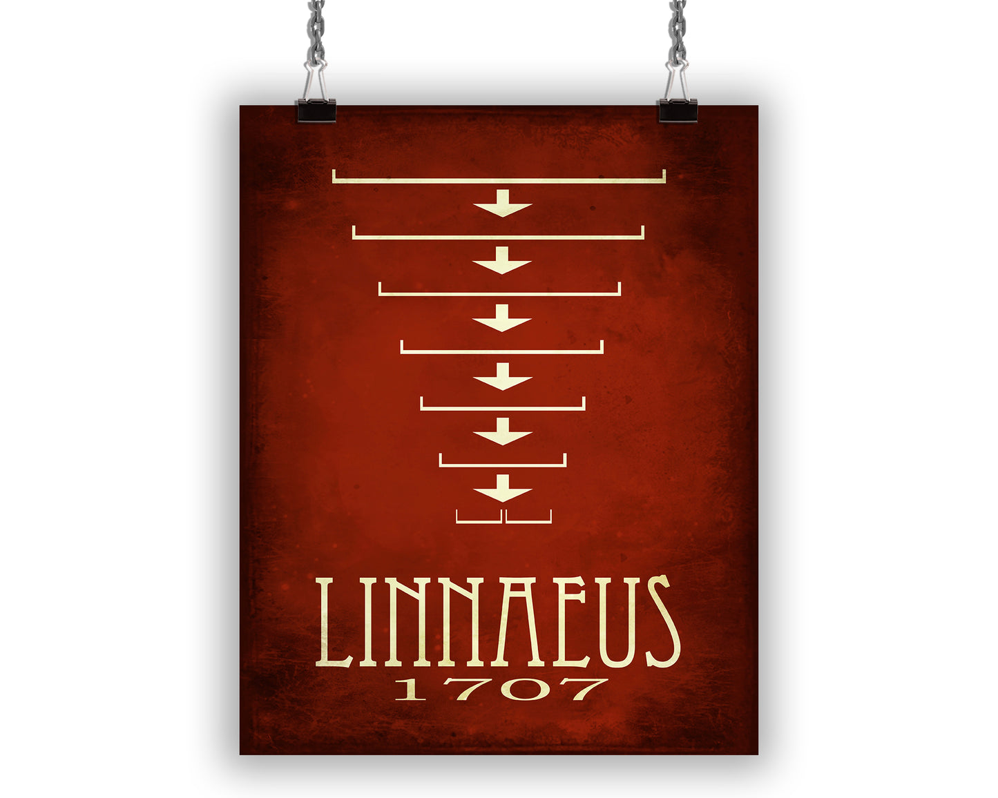 Carl Linnaeus Taxonomy Tree Art Print, Zoology and Botany Decor