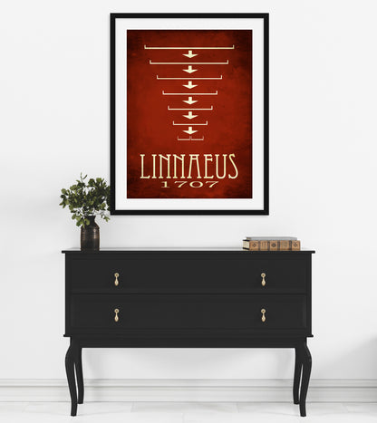 Carl Linnaeus Taxonomy Tree Art Print, Zoology and Botany Decor