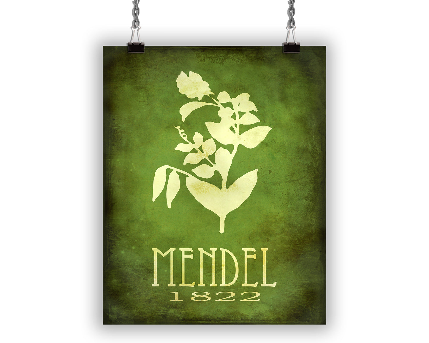 Gregor Mendel Botany Art Print, Genetics and Biology Decor