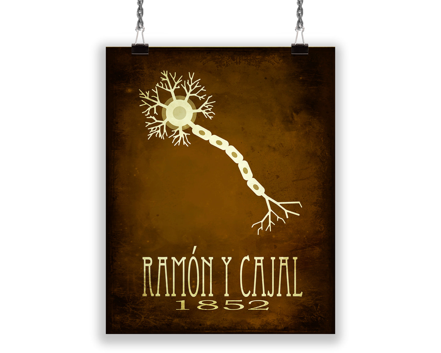 Ramon y Cajal Brain Neuron Art Print, Neuroscience Gift and Decor